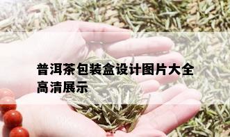 普洱茶包装盒设计图片大全高清展示