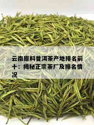 云南原料普洱茶产地排名前十：揭秘正宗茶厂及排名情况