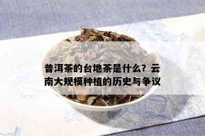 普洱茶的台地茶是什么？云南大规模种植的历史与争议