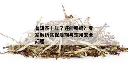 普洱茶十年了还能喝吗？专家解析其保质期与饮用安全问题