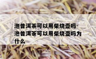 泡普洱茶可以用柴烧壶吗-泡普洱茶可以用柴烧壶吗为什么