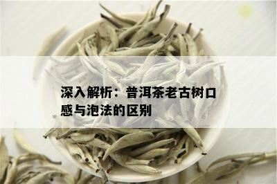 深入解析：普洱茶老古树口感与泡法的区别