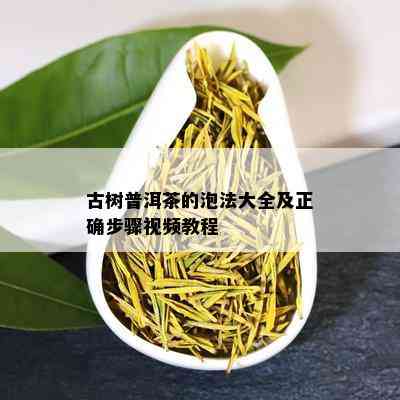 古树普洱茶的泡法大全及正确步骤视频教程