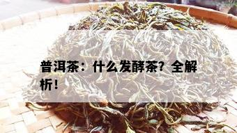 普洱茶：什么发酵茶？全解析！