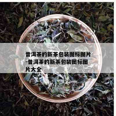 普洱茶的新茶包装图标图片-普洱茶的新茶包装图标图片大全