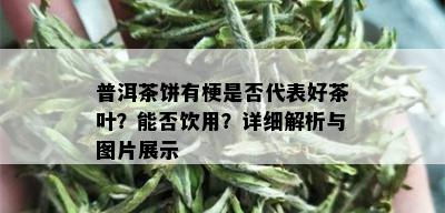 普洱茶饼有梗是否代表好茶叶？能否饮用？详细解析与图片展示