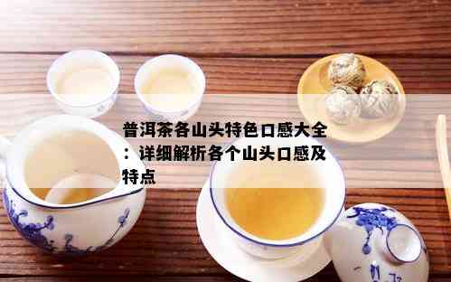 普洱茶各山头特色口感大全：详细解析各个山头口感及特点