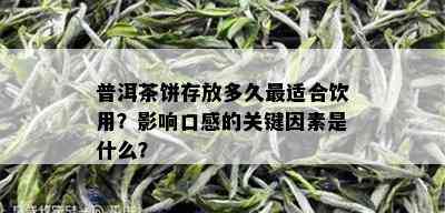 普洱茶饼存放多久最适合饮用？影响口感的关键因素是什么？