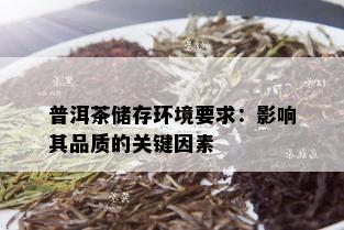 普洱茶储存环境要求：影响其品质的关键因素