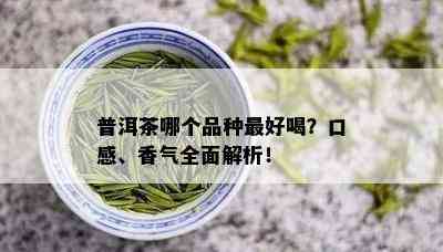 普洱茶哪个品种更好喝？口感、香气全面解析！