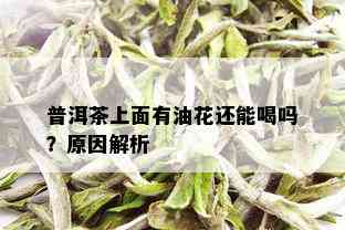 普洱茶上面有油花还能喝吗？原因解析