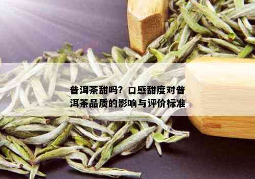 普洱茶甜吗？口感甜度对普洱茶品质的影响与评价标准