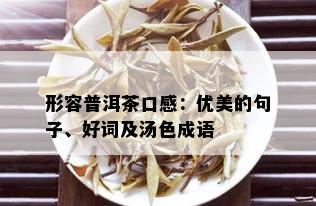 形容普洱茶口感：优美的句子、好词及汤色成语