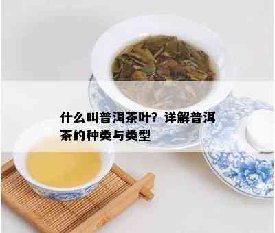 什么叫普洱茶叶？详解普洱茶的种类与类型