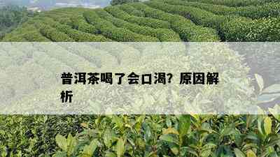 普洱茶喝了会口渴？原因解析