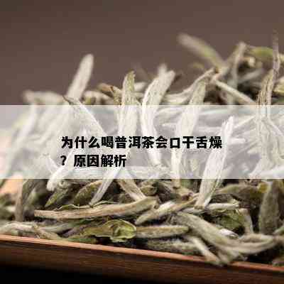 为什么喝普洱茶会口干舌燥？原因解析