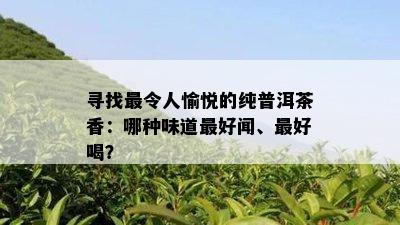 寻找最令人愉悦的纯普洱茶香：哪种味道更好闻、更好喝？