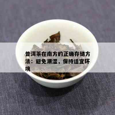 普洱茶在南方的正确存储方法：避免潮湿，保持适宜环境