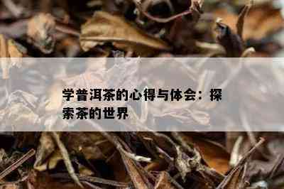 学普洱茶的心得与体会：探索茶的世界