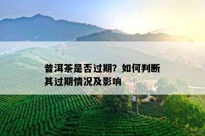 普洱茶是否过期？如何判断其过期情况及影响