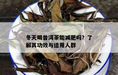 冬天喝普洱茶能减肥吗？了解其功效与适用人群