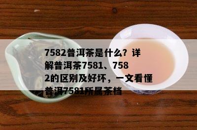 7582普洱茶是什么？详解普洱茶7581、7582的区别及好坏，一文看懂普洱7581所属茶档