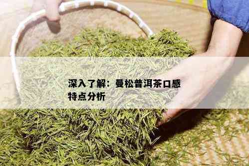 深入了解：曼松普洱茶口感特点分析