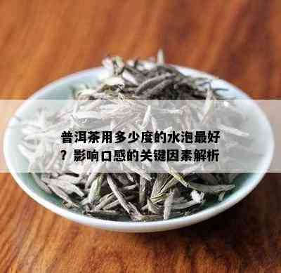 普洱茶用多少度的水泡更好？影响口感的关键因素解析