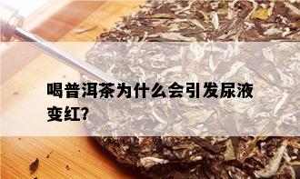 喝普洱茶为什么会引发尿液变红？