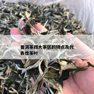 普洱茶四大茶区的特点及代表性茶叶