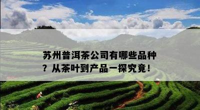 苏州普洱茶公司有哪些品种？从茶叶到产品一探究竟！