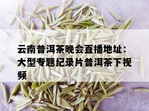 云南普洱茶晚会直播地址：大型专题纪录片普洱茶下视频