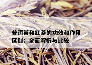 普洱茶和红茶的功效和作用区别：全面解析与比较