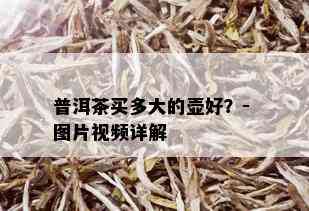 普洱茶买多大的壶好？- 图片视频详解