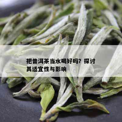 把普洱茶当水喝好吗？探讨其适宜性与影响