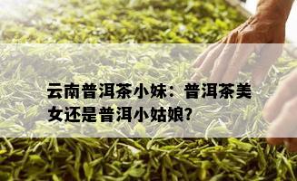 云南普洱茶小妹：普洱茶美女还是普洱小姑娘？