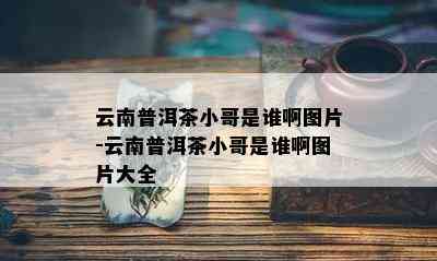 云南普洱茶小哥是谁啊图片-云南普洱茶小哥是谁啊图片大全