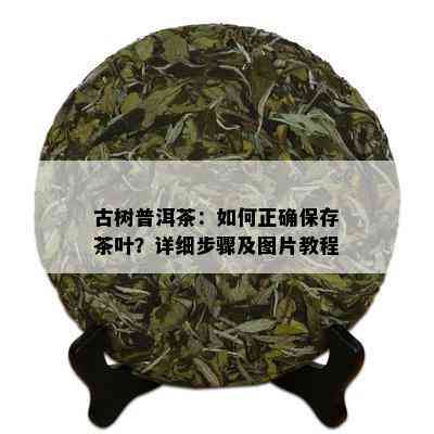 古树普洱茶：如何正确保存茶叶？详细步骤及图片教程