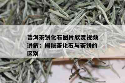 普洱茶饼化石图片欣赏视频讲解：揭秘茶化石与茶饼的区别