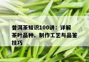 普洱茶知识100讲：详解茶叶品种、制作工艺与品鉴技巧