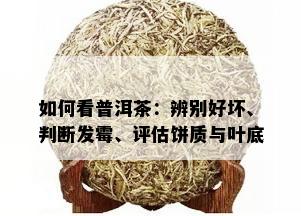 如何看普洱茶：辨别好坏、判断发霉、评估饼质与叶底