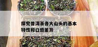 探究普洱茶各大山头的基本特性和口感差异