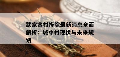 武家寨村拆除最新消息全面解析：城中村现状与未来规划