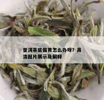 普洱茶底偏黄怎么办呀？高清图片展示及解释