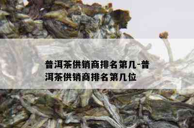 普洱茶供销商排名第几-普洱茶供销商排名第几位