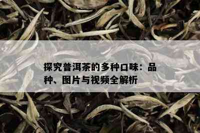 探究普洱茶的多种口味：品种、图片与视频全解析