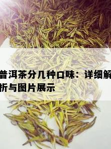 普洱茶分几种口味：详细解析与图片展示