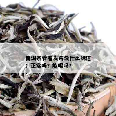 普洱茶看着发霉没什么味道：正常吗？能喝吗？