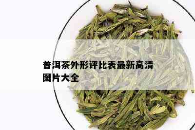 普洱茶外形评比表最新高清图片大全