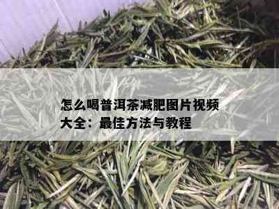 怎么喝普洱茶减肥图片视频大全：更佳方法与教程